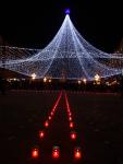Imagine atasata: 16 decembrie - 2014.12.16 - 21.jpg
